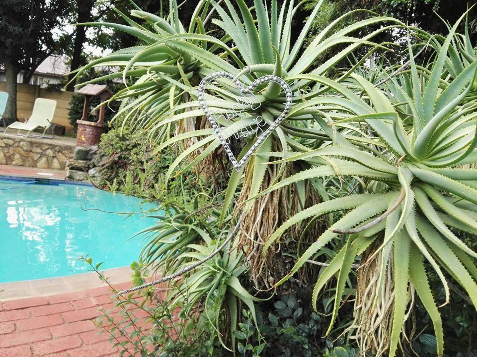 Rocky Ridge Guest House Self Catering - No Alcohol Allowed Roodepoort Exterior photo